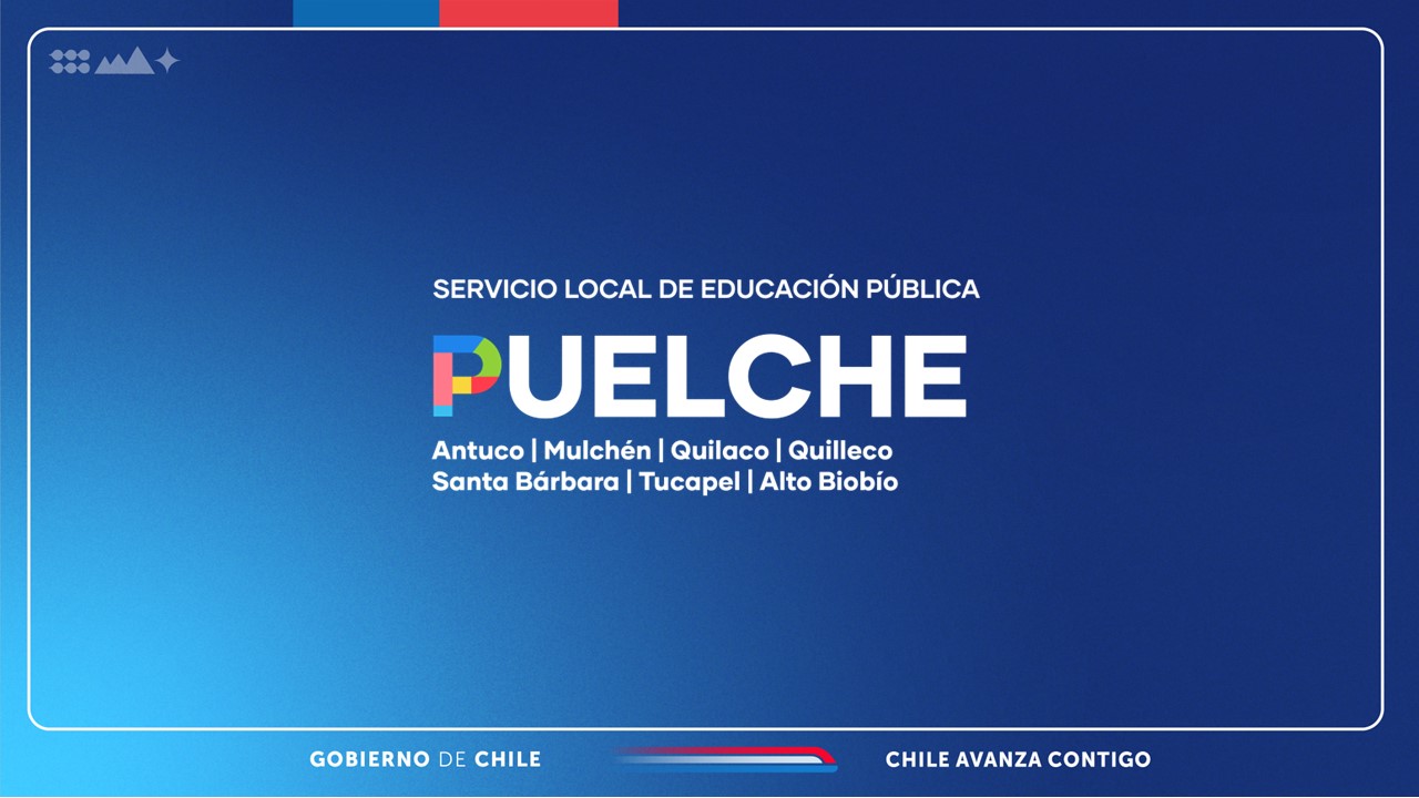 SLEP Puelche realizó su primera cuenta pública con miras al traspaso 2026