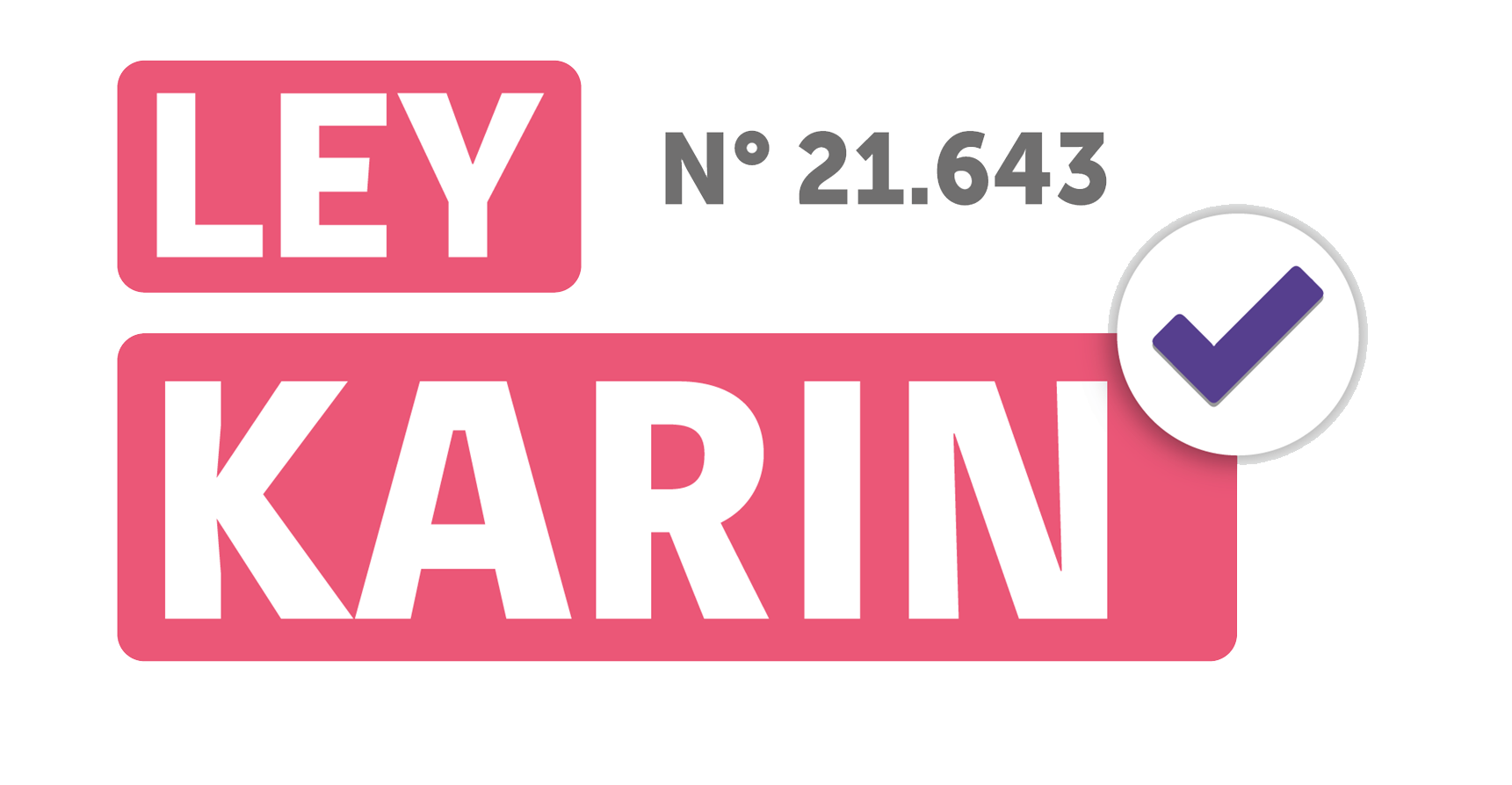 20240913_ley-karin-logo